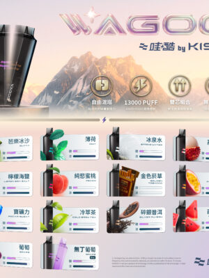 迪拜爆款【WAGOO❣️哇酷拋棄式6500口❣️】by KIS5 的高端品牌 滿7送1請備注口味